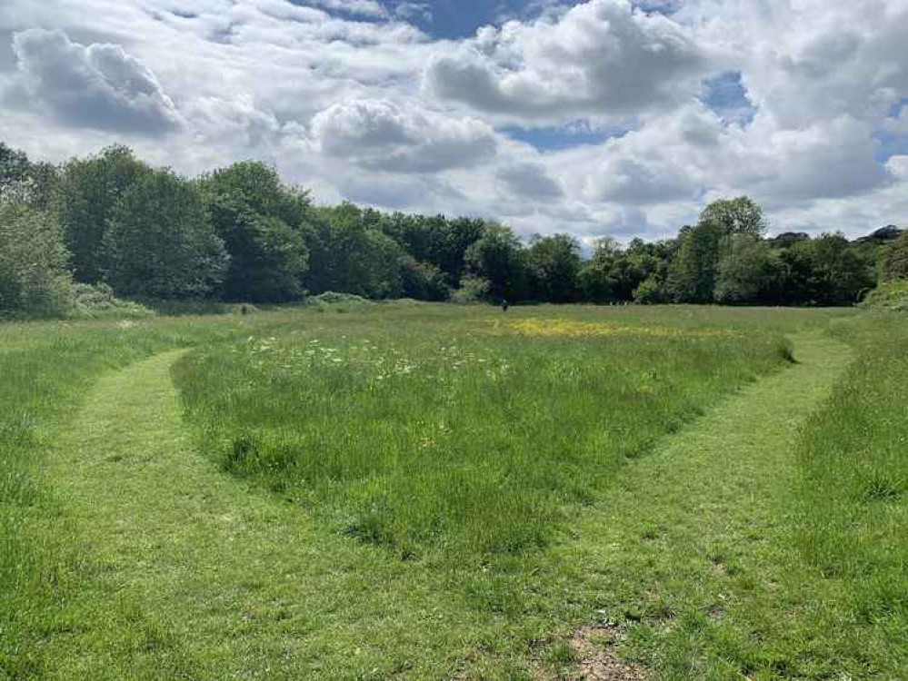 Rodden Meadow - Credit @FromePhotos