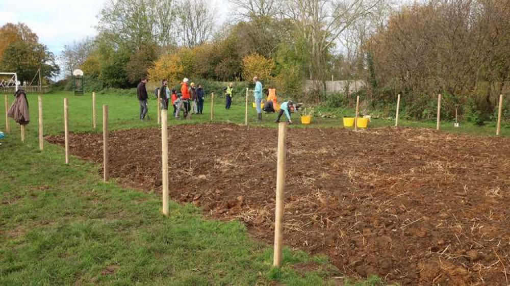 From this modest plot a vast diversity will grow. Photo Andy Jones