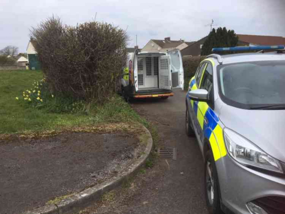 The new way of transporting those police want to question further involves them being taken in a specific vehicle