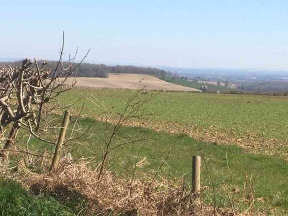 The green surrounding Midsomer Norton is bound to attract lots of visitors The green surrounding Midsomer Norton is bound to attract lots of visitors