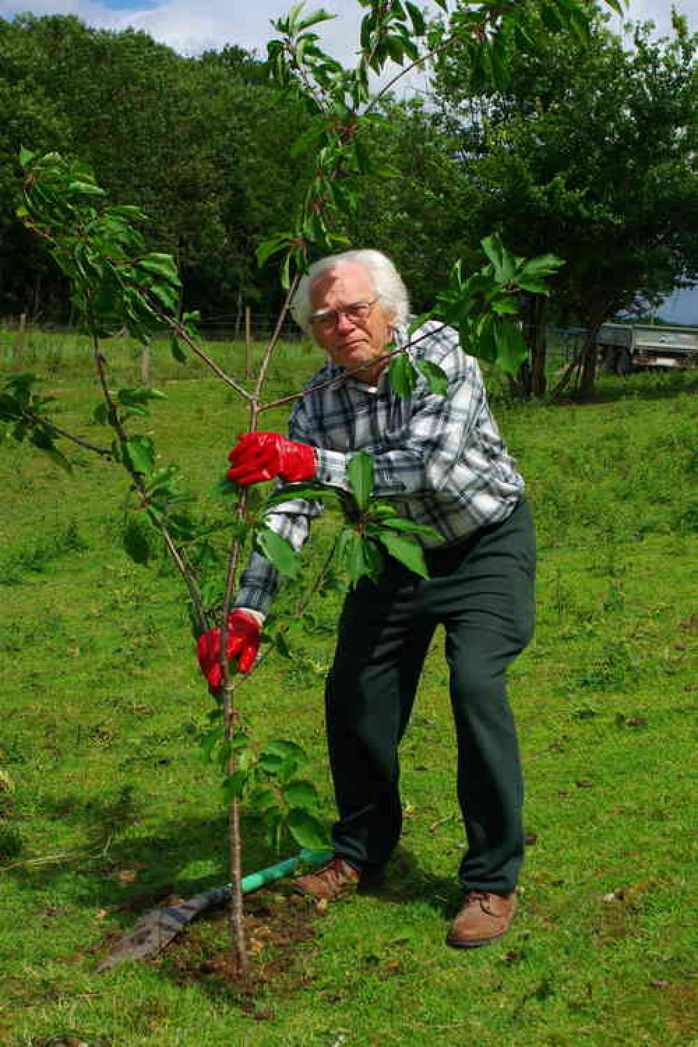 Planting for the future Mike Boulton has big ambitions for unloved land around Midsomer Norton Planting for the future Mike Boulton has big ambitions for unloved land around Midsomer Norton