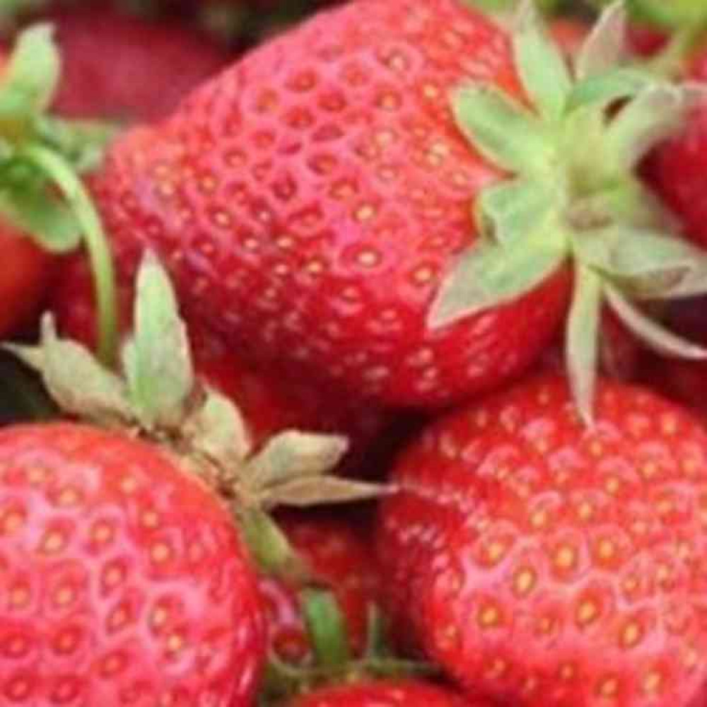Just in time for some summer fruits Just in time for some summer fruits