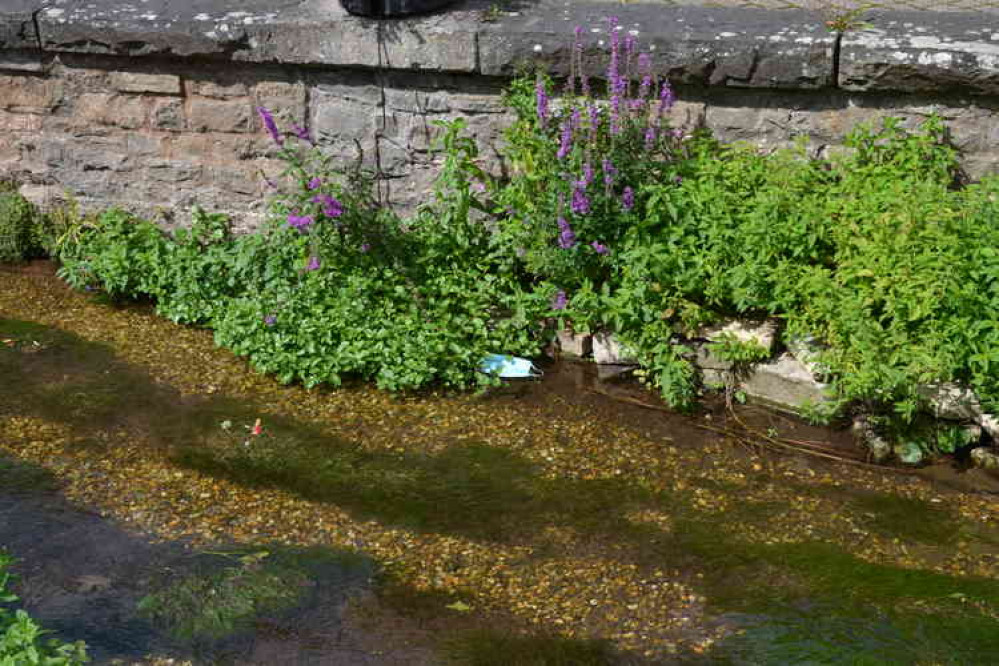 Mask in Midsomer Norton river August 30