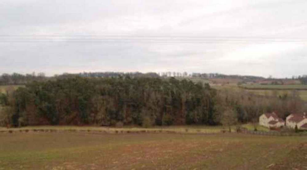 The trees on the former colliery site