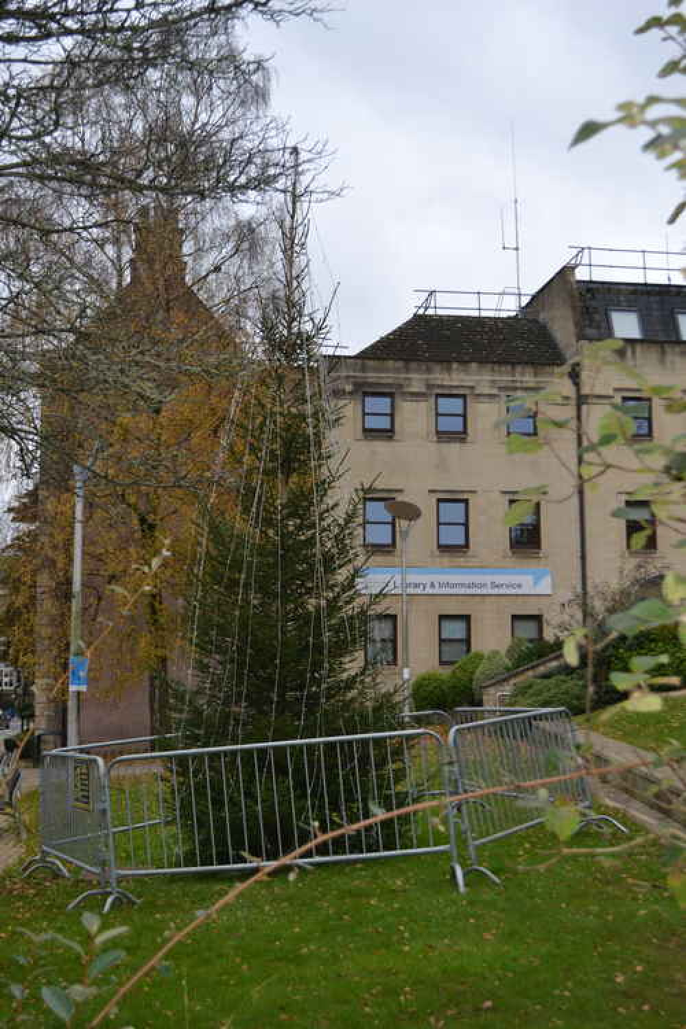 The Midsomer Norton town Christmas tree The Midsomer Norton town Christmas tree
