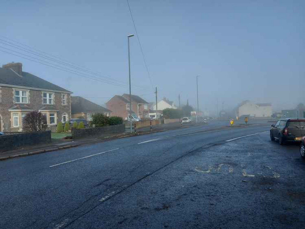 The hedges on roads around Midsomer Norton are often full of litter