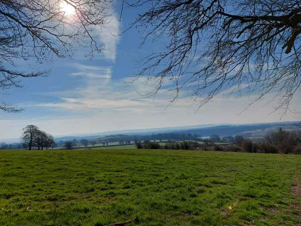 A view from the East Mendip way near to Cranmore tower April 18 A view from the East Mendip way near to Cranmore tower April 18