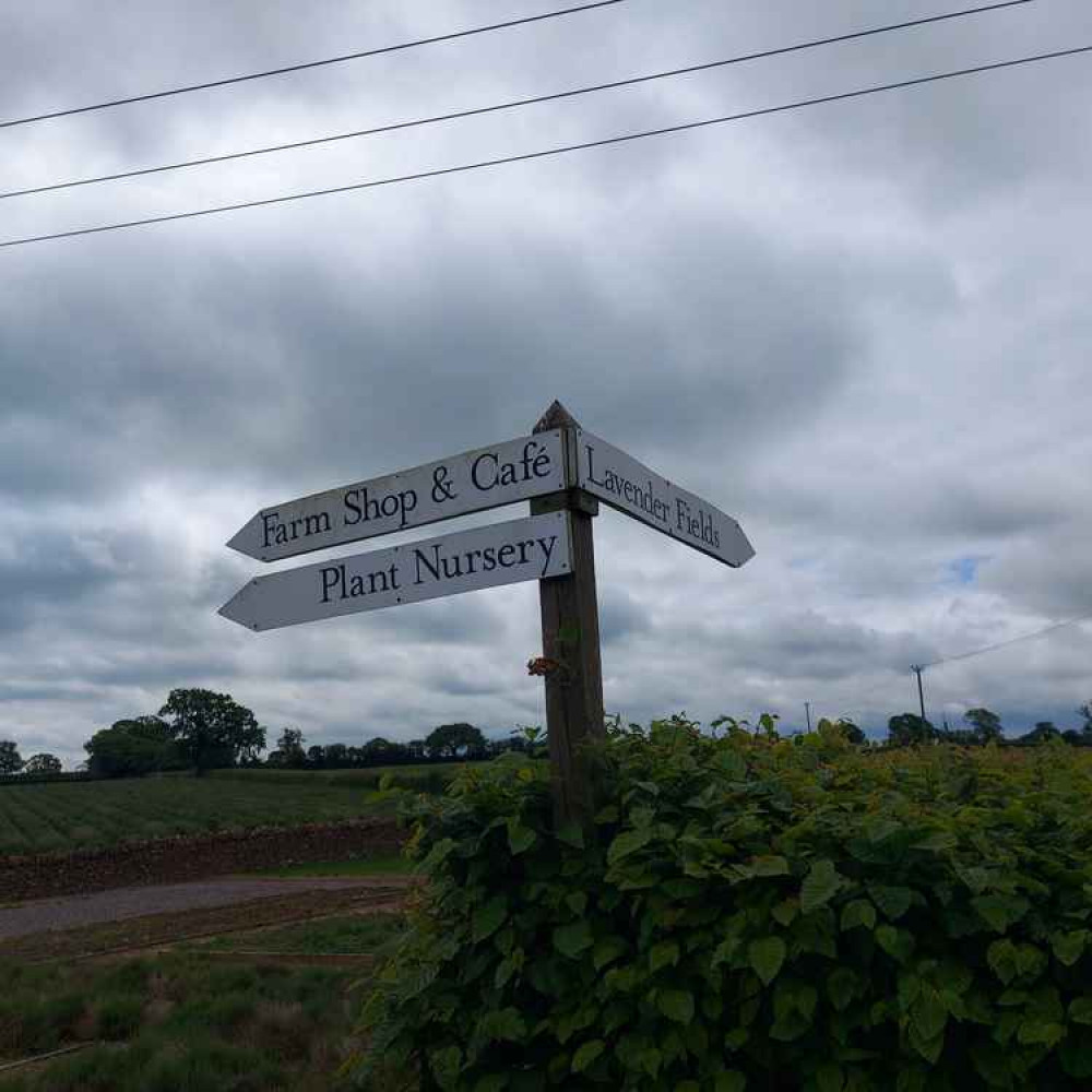 The fields could have been a perfect sky-spot but it was overcast The fields could have been a perfect sky-spot but it was overcast