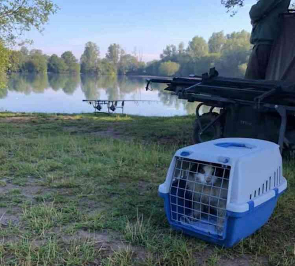 Homeward bound - Marcel after he was recovered at a Chelmsford area fishing lake.