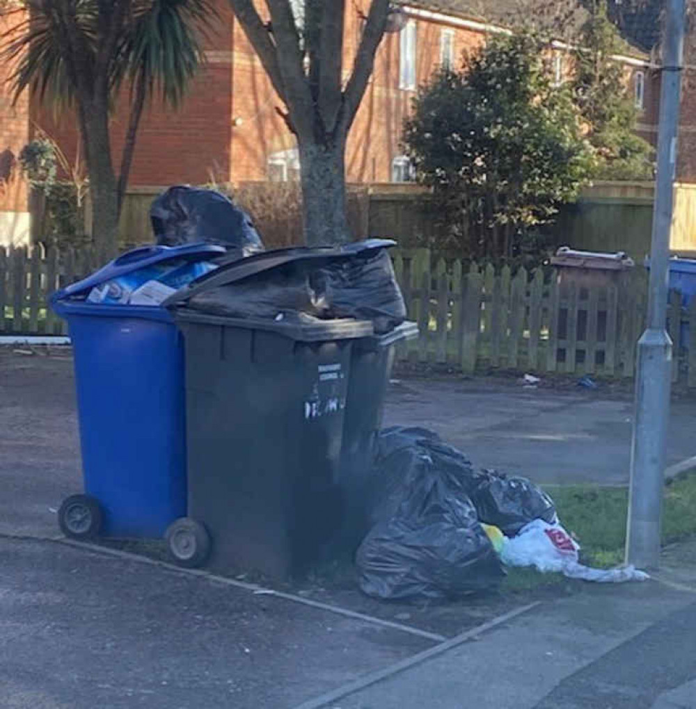 Uncollected bins on Mill Lane last evening