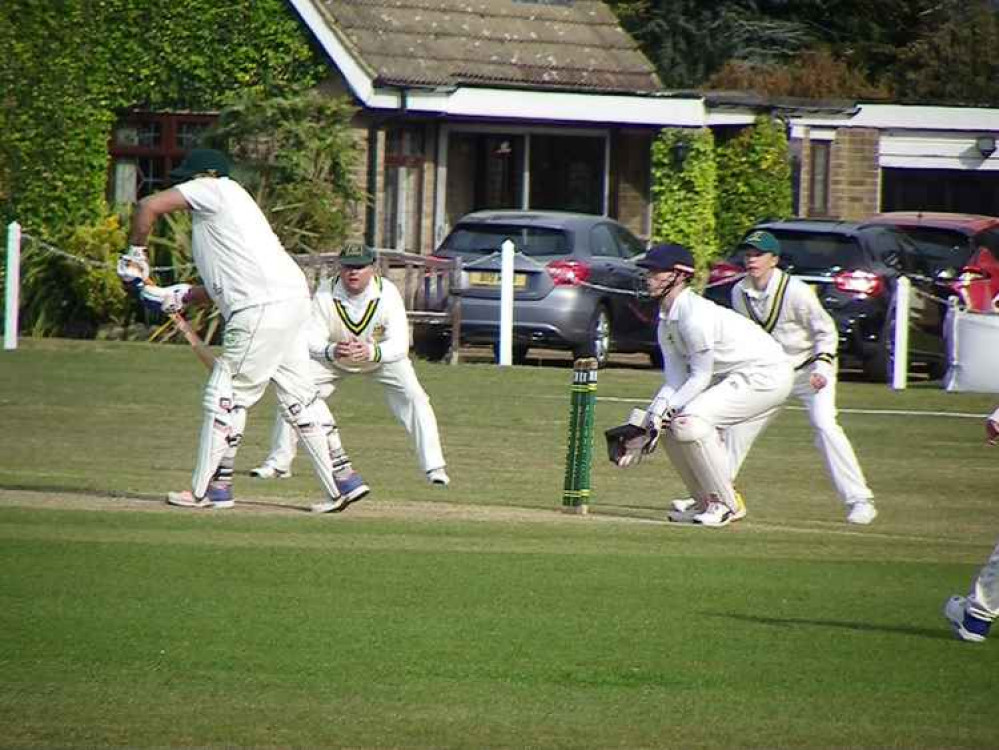 Cricket is back! Cricket is back!