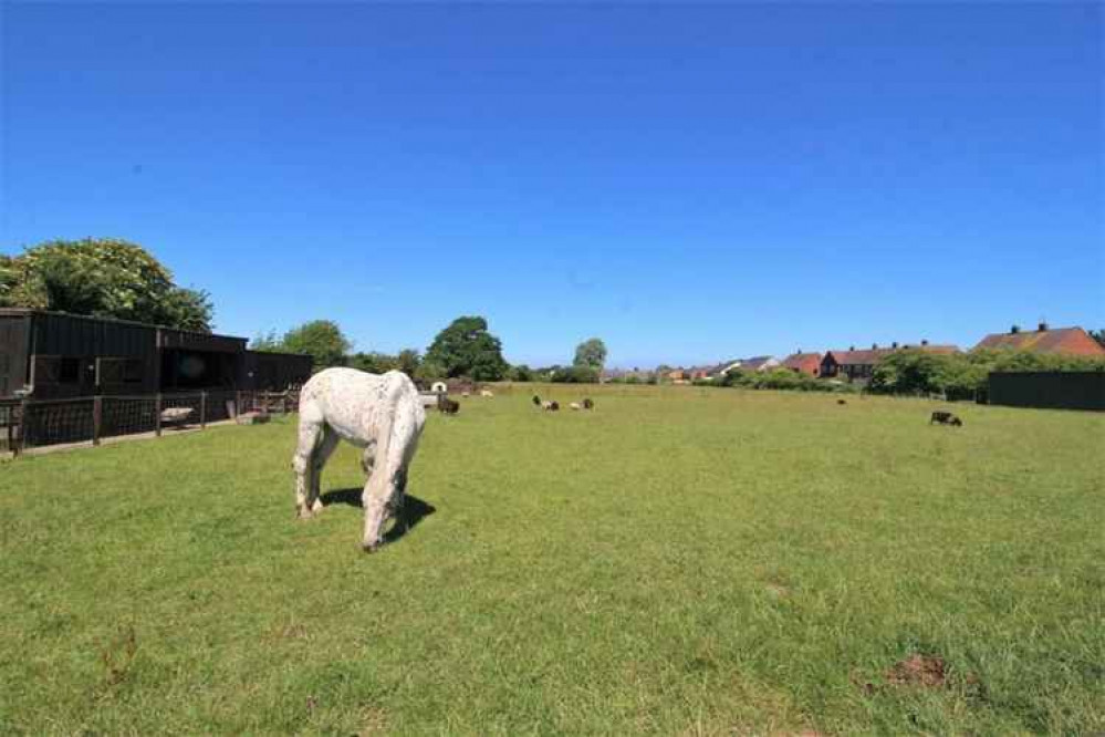 Property of the Week: smallholding style opportunity on Irby Road, Pensby