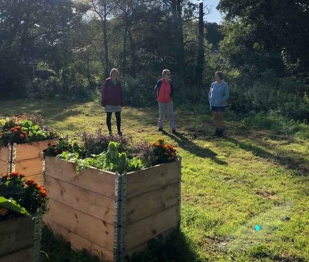 Bridport's Living Tree cancer support charity encourages members to get out into nature with a new allotment Bridport's Living Tree cancer support charity encourages members to get out into nature with a new allotment