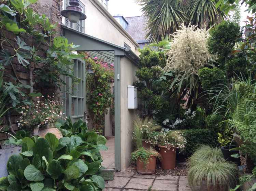 Lorrie O'Rawe's garden in Bridport