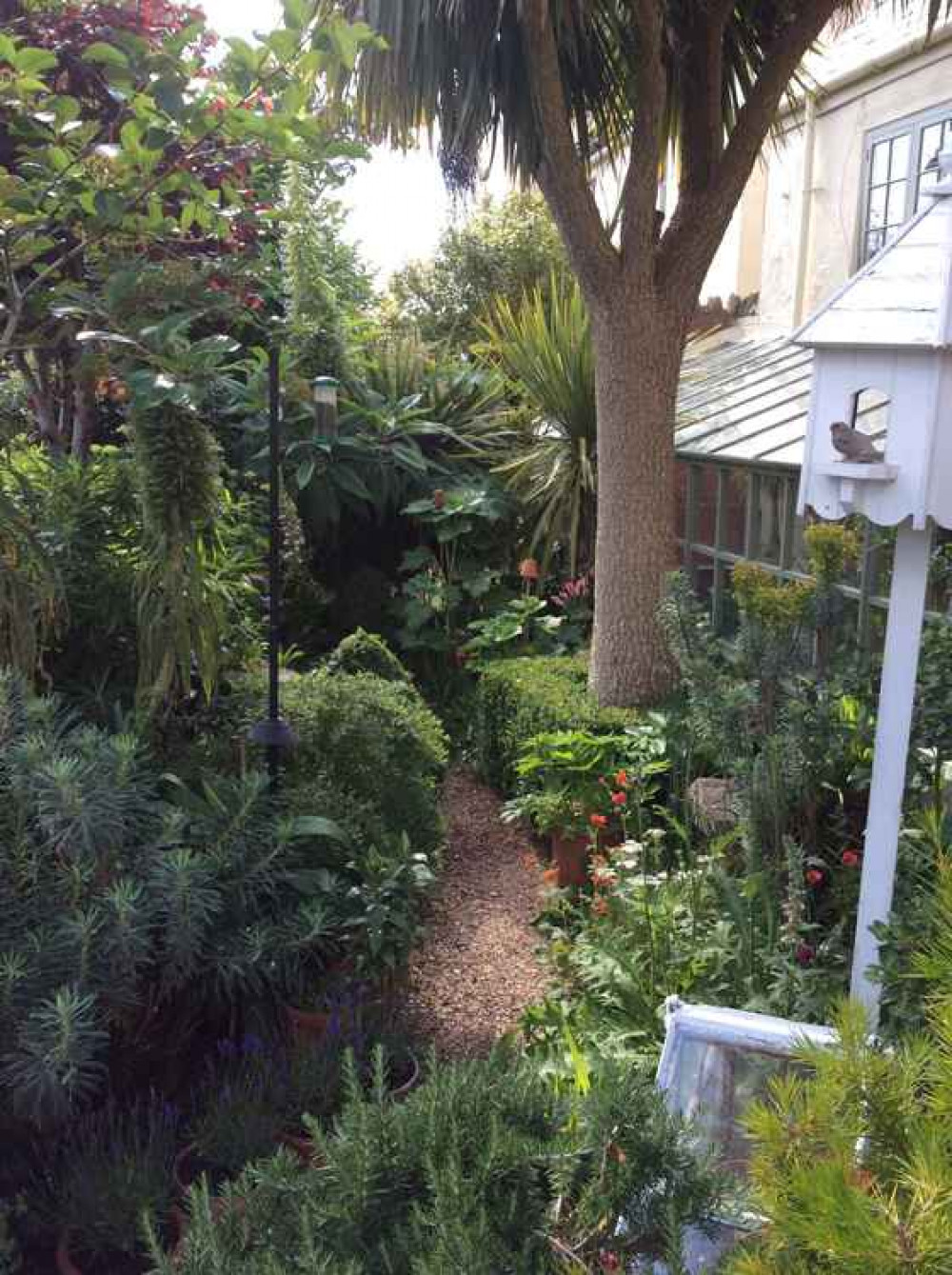 Lorrie O'Rawe's garden in Bridport