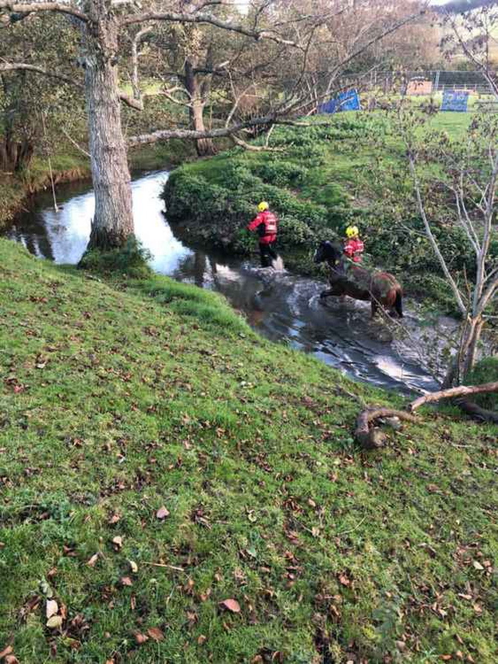 Firefighters were called to rescue Nelson from a river in Pymore Picture: Bridport Fire Station