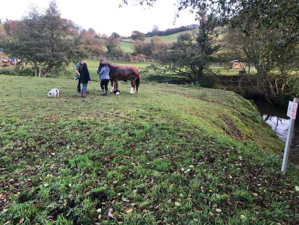 Firefighters were called to rescue Nelson from a river in Pymore Picture: Bridport Fire Station