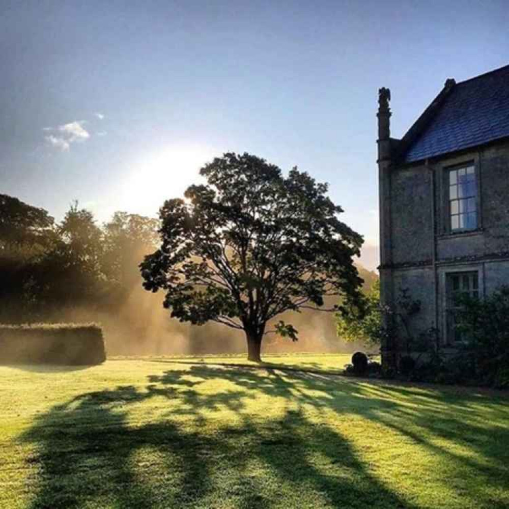 Mapperton Gardens is named Historic Houses' Garden of the Year 2020