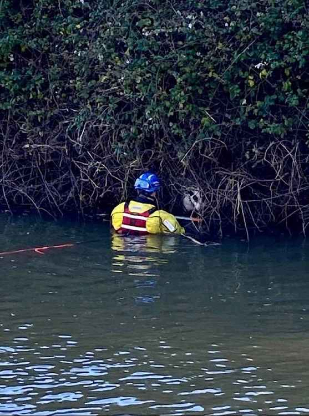 Happy ending after West Bay and Lyme Regis coastguards called to recuse 'Prudence' from a river Picture: Lyme Regis Coastguard