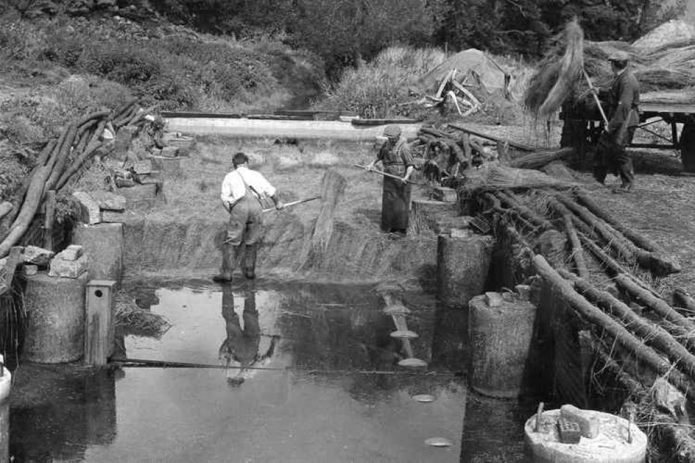 Flax retting Picture: Bridport Museum