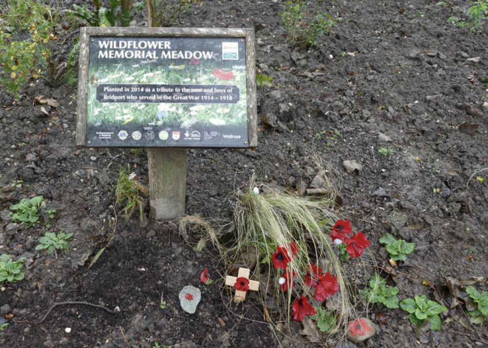 The Wildflower Memorial Meadow at Mountfield