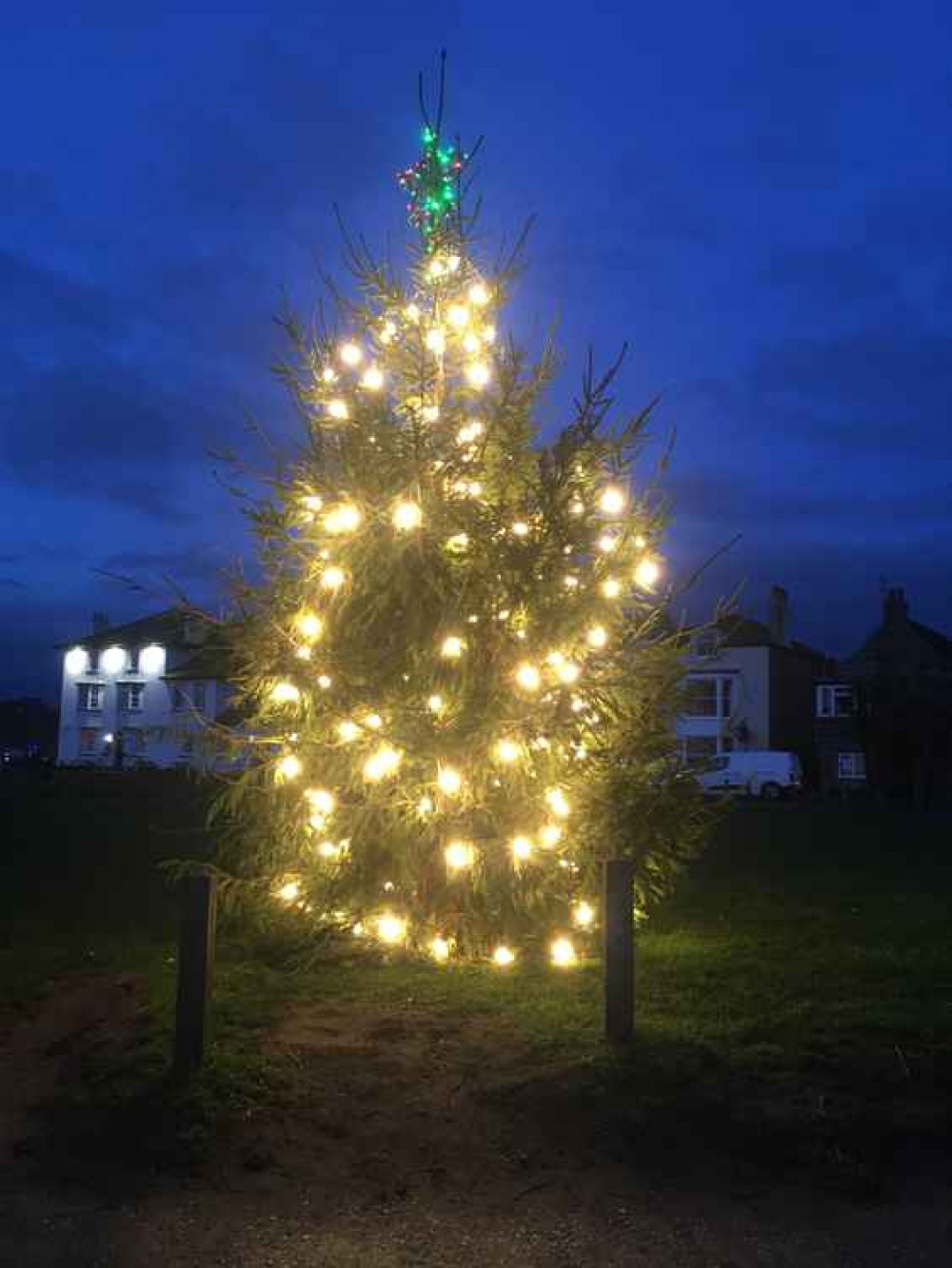 Christmas tree lights up Harbour Green in West Bay