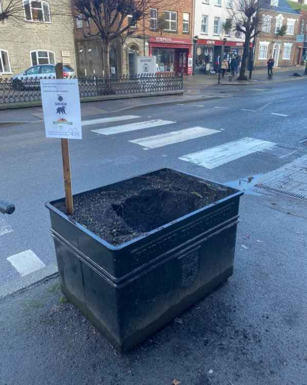 The community Christmas tree was stolen from outside Waitrose, which raised £300 for Cupboard Love Food Bank