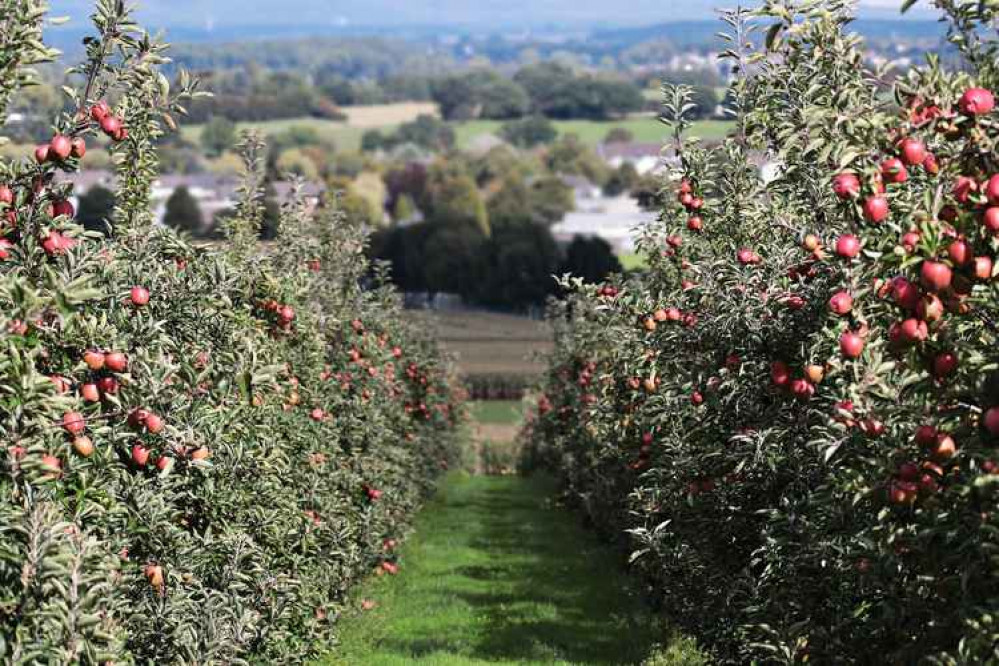 The expansion of a wine, cider and beer operation at a Waytown farm site has been approved