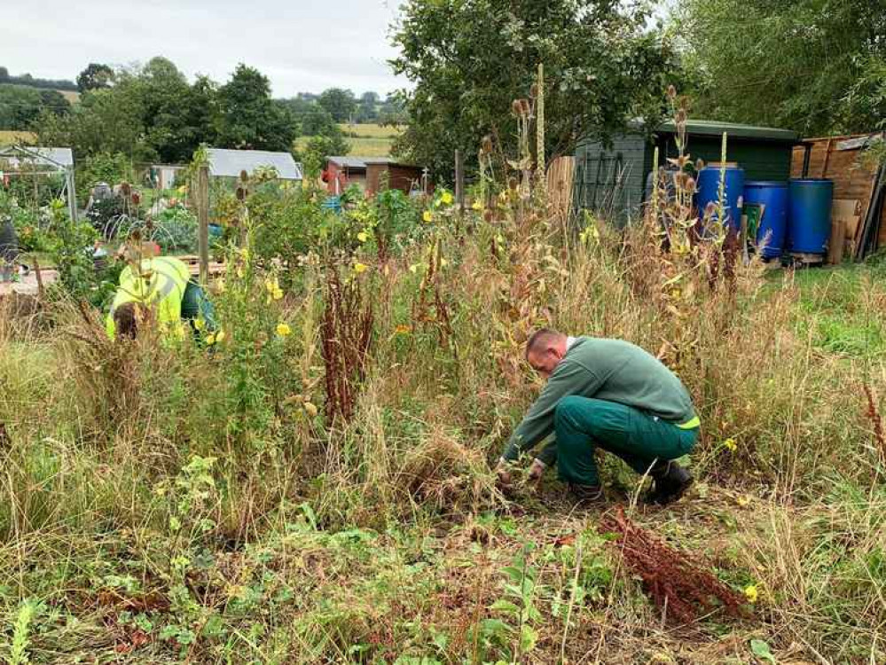 The Cowshed at Number 17 allotment