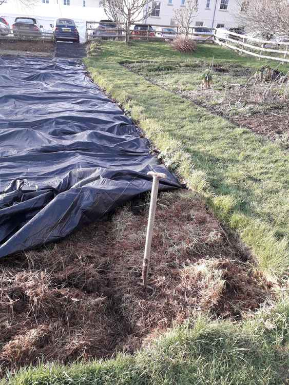 The Cowshed at Number 17 allotment