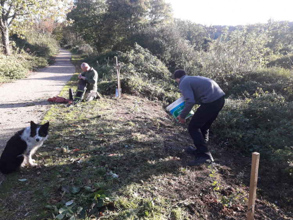 Volunteers at work