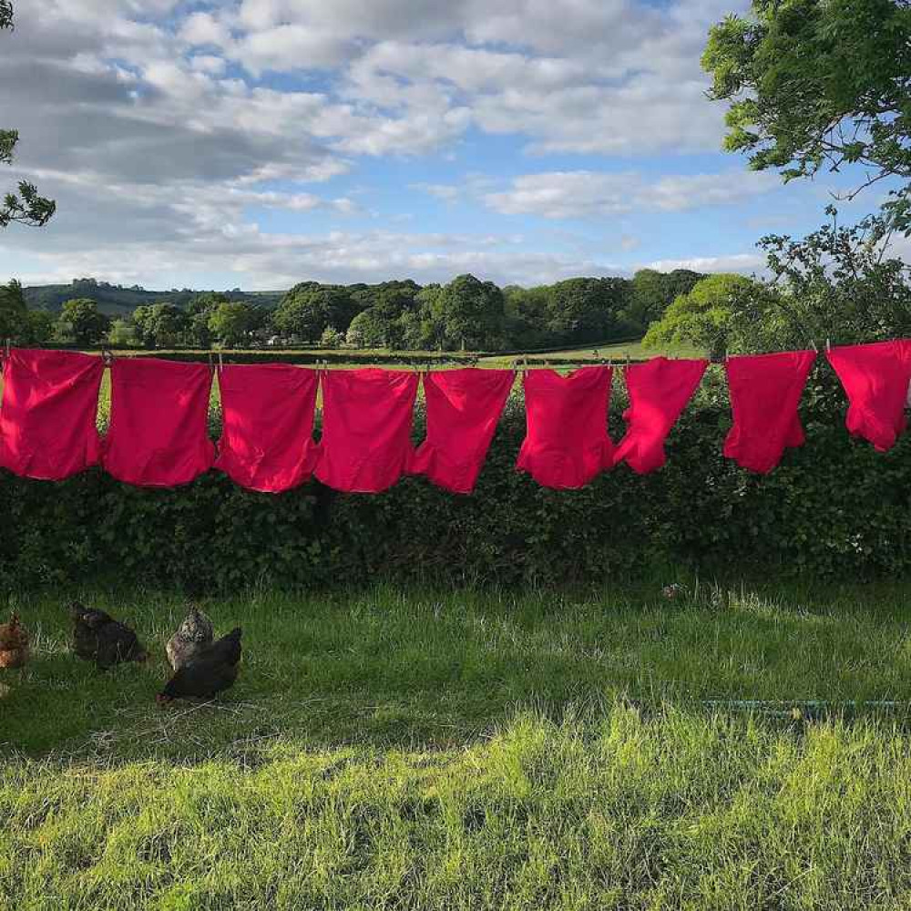 West Dorset Scrubbers - by @annabellehuntcolourconsultant West Dorset Scrubbers - by @annabellehuntcolourconsultant