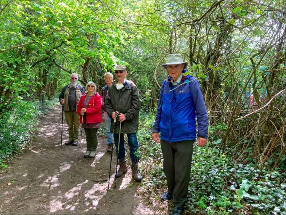 Members of the Bridport U3A short walks group