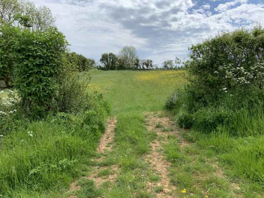 Walk straight until you reach the hedge and trees and then turn right to walk along the top of the field to a gate