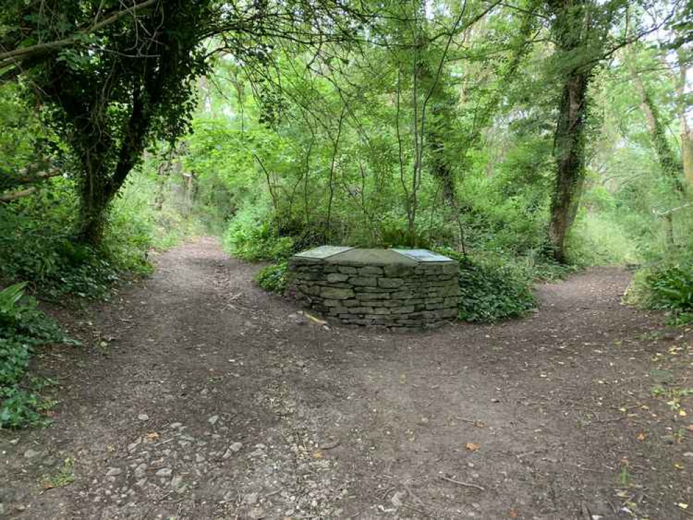 Go straight up the hill, passing to the left of information board