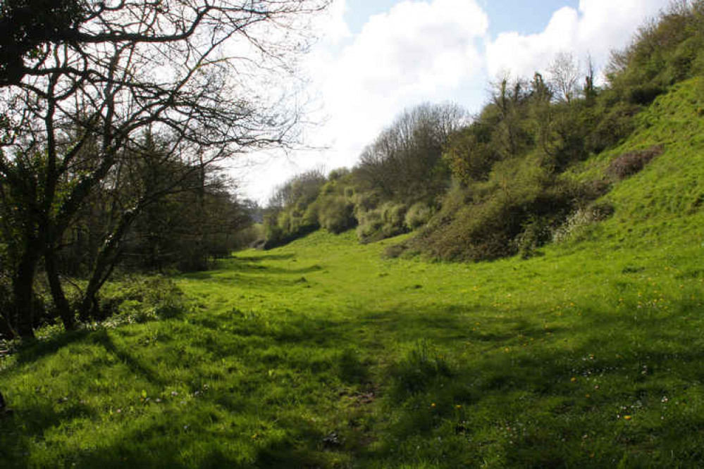 Powerstock Common Picture: Tony Bates MBE