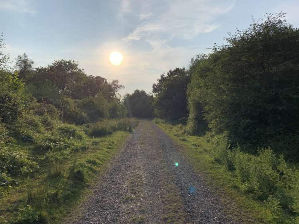 Powerstock Common Nature Reserve