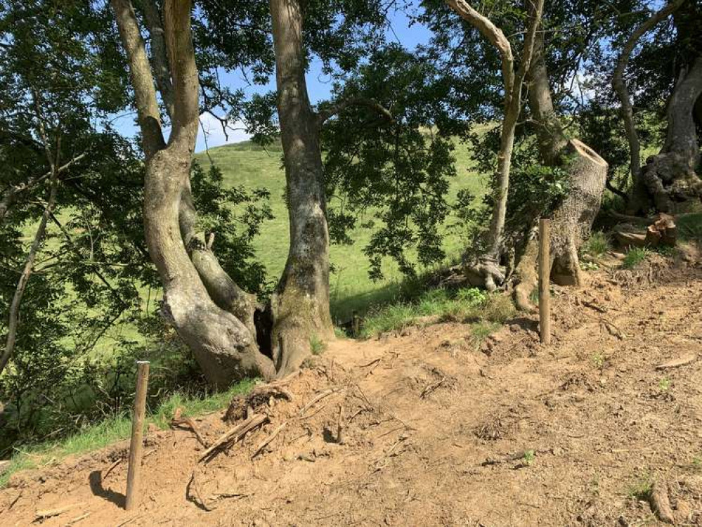 The footpath is hidden between trees no the side of the hill below the trees on the top