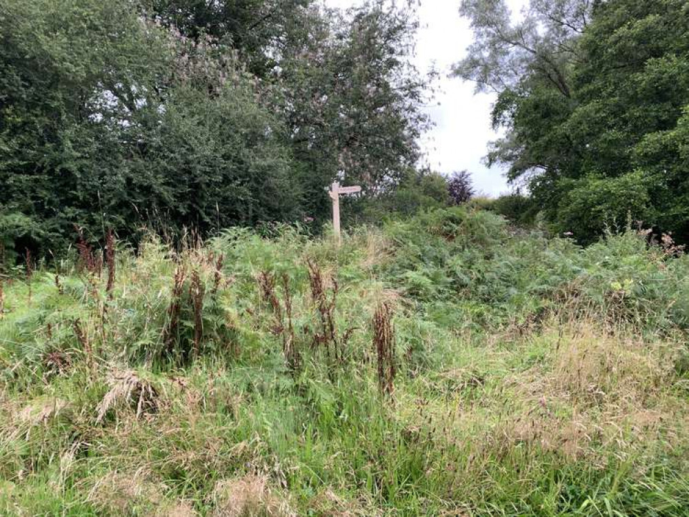 When you reach a footpath sign, turn right and follow the path round a lake and to the left