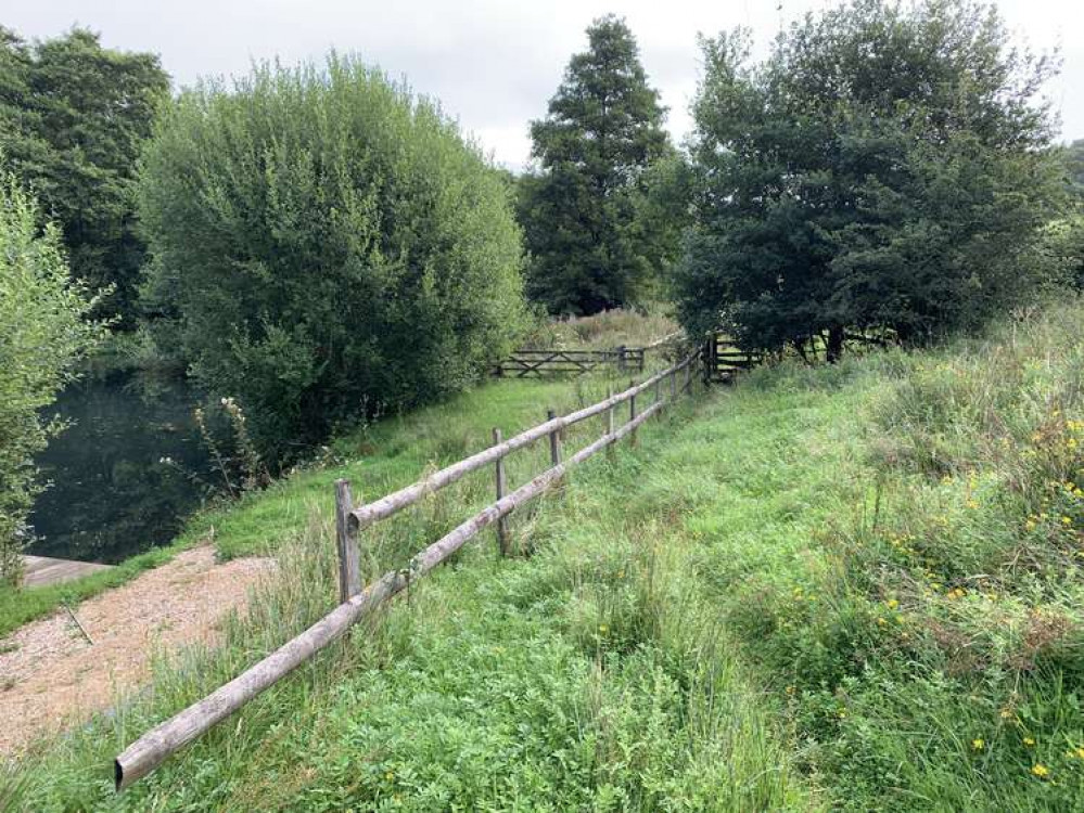 Go down towards the lake and as you get to the steps there will be two stiles to the right under a tree, go over them a straight through the next field