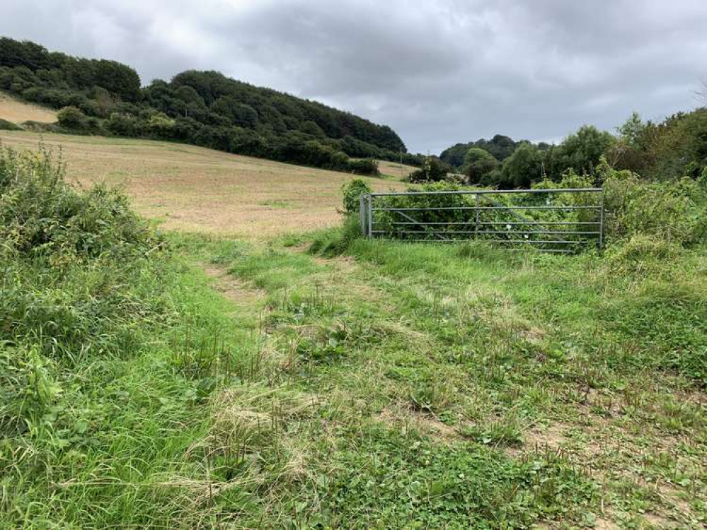 Turn left to go through the metal gate and back up the hill