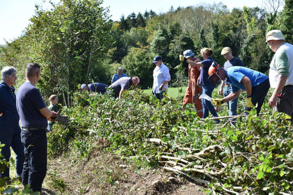 Try your hand at hedge laying with the Melplash Agricultural Society's free taster day