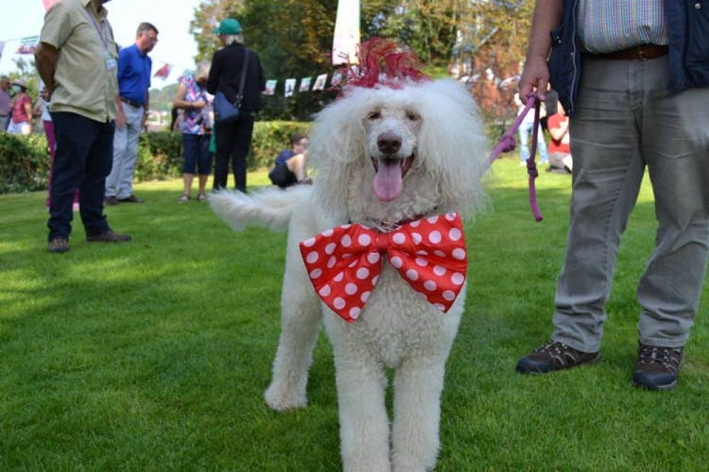 Trixie shows off her red tie and bow tie