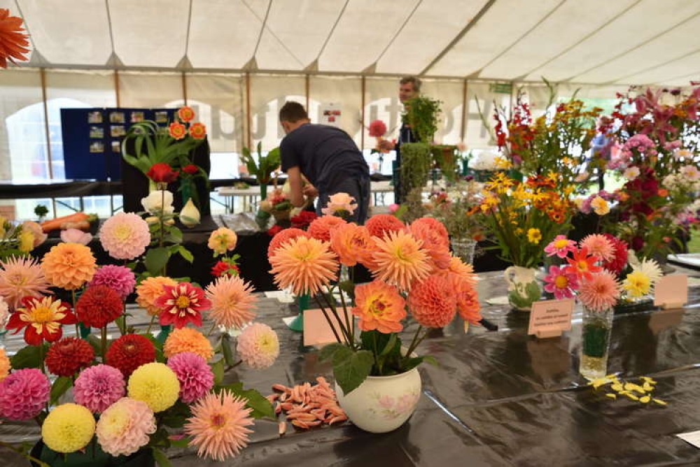 Entries into the Melplash Agricultural Society's homecraft and horticulture show Picture: Tim Russ