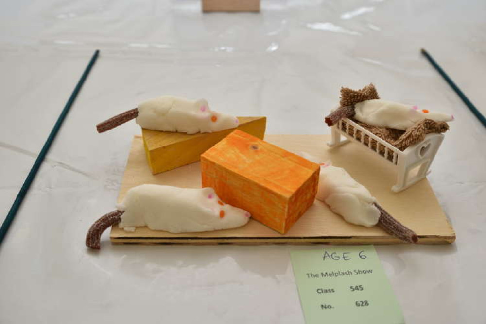 Entries into the Melplash Agricultural Society's homecraft and horticulture show Picture: Tim Russ