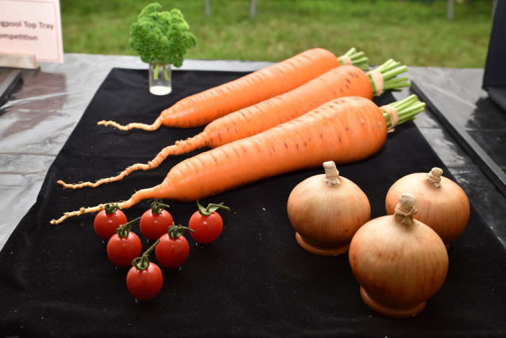 Entries into the Melplash Agricultural Society's homecraft and horticulture show Picture: Tim Russ