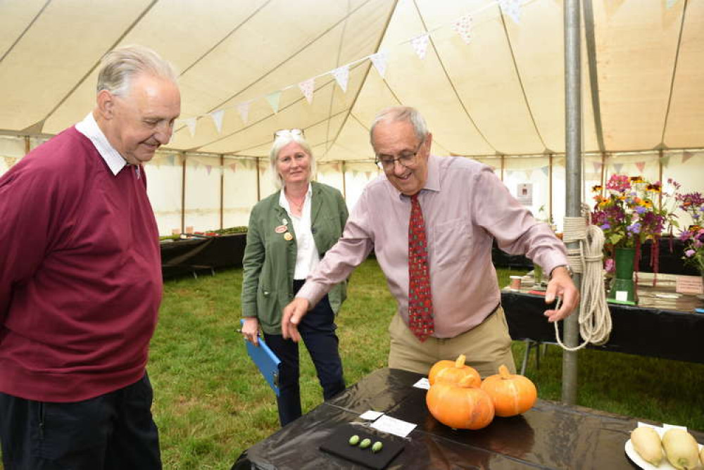 Judging at the Melplash Agricultural Society's homecraft and horticulture show Picture: Tim Russ