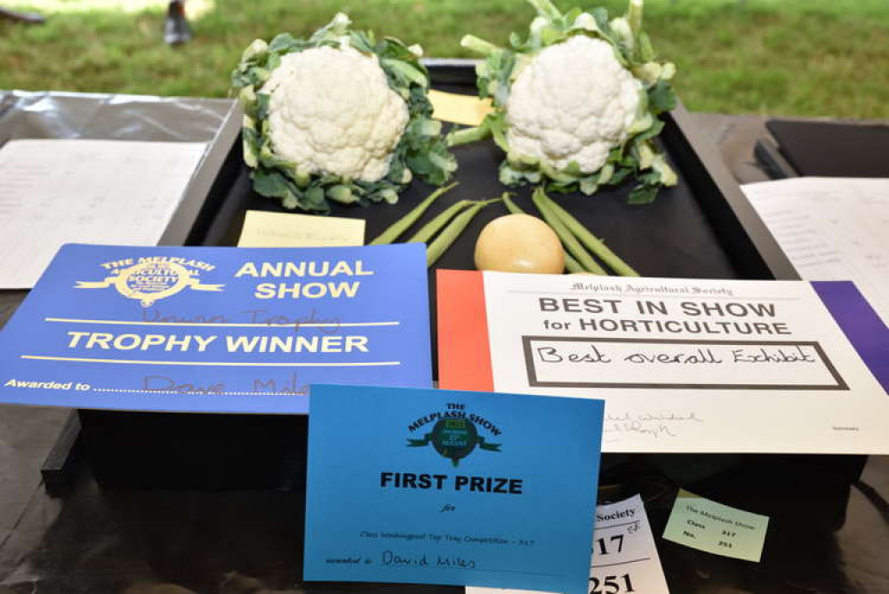 Entries into the Melplash Agricultural Society's homecraft and horticulture show Picture: Tim Russ