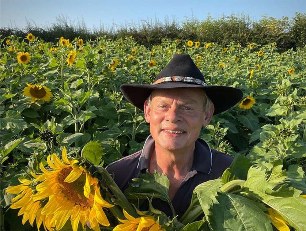 Doc Martin star Martin Clunes is selling sunflowers in aid of Julia's House