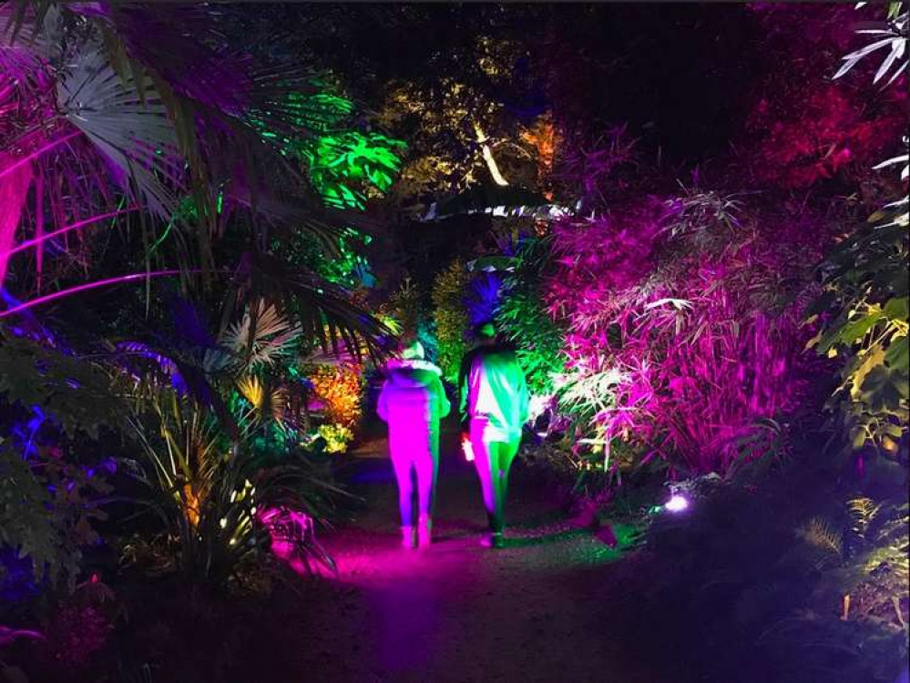 ILLUMINATE returns to Abbotsbury Subtropical Gardens this winter